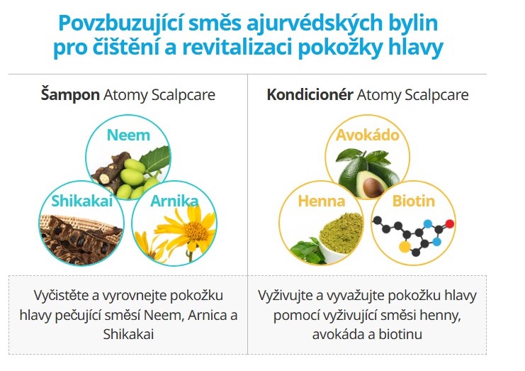 Atomy Scalpcare (5)